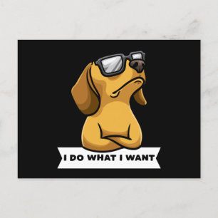 Postal Divertida idea de regalo para perro Dachhund