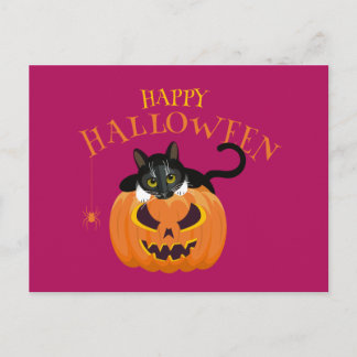 Postal divertida para gatos de Halloween