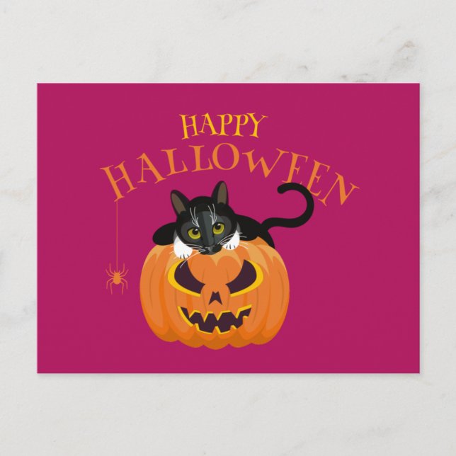 Postal divertida para gatos de Halloween