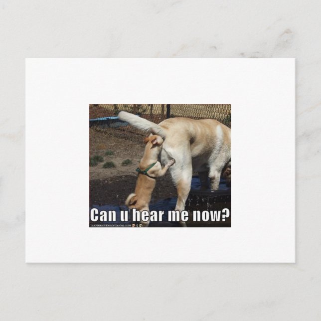 Postal divertido (Anverso)