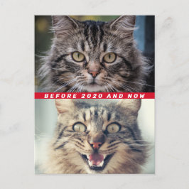 Postal Divertido Antes Y Después Del Gato De 2020 ¿Cómo L