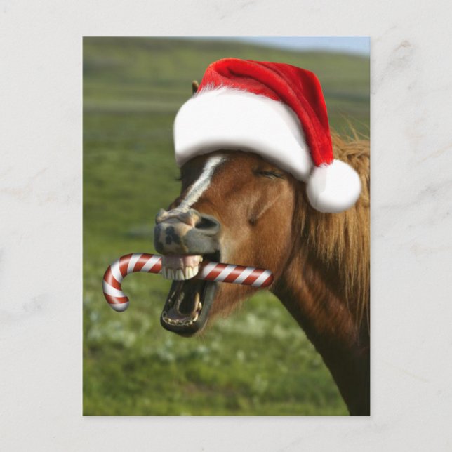 Postal Divertido caballo de Navidades con sombrero Santa  (Anverso)