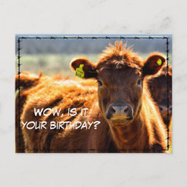 Postal Divertido Cumpleaños Feliz Granja Campestre Correo