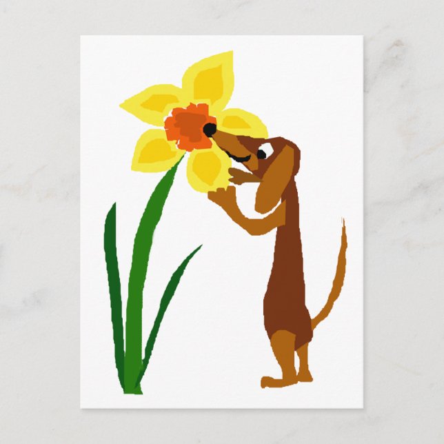 Postal Divertido Dachshund Olor Daffodil Amarillo (Anverso)