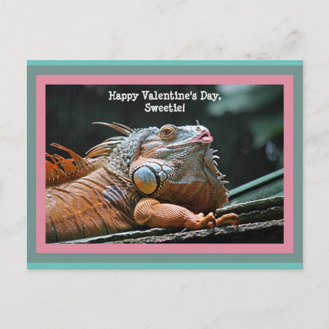 Postal Divertido Iguana Valentine (Anverso)