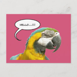 Postal Divertido loro parlante de conversación Hola posta