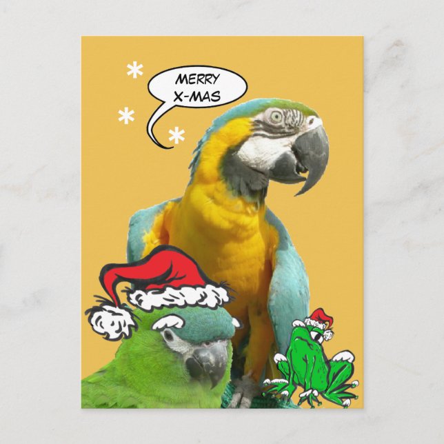 Postal Divertido loro parlante Merry X-Mas Postcard (Anverso)