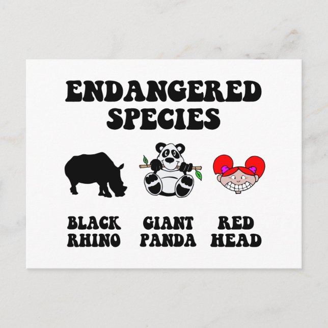 Postal Divertido pelirrojo (Anverso)