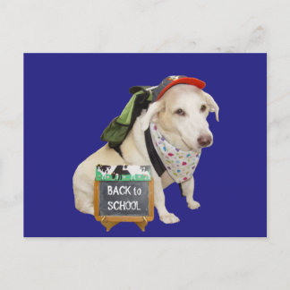 Postal Divertido perro lindo de vuelta a la escuela