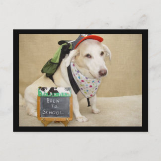 Postal Divertido perro lindo de vuelta a la escuela