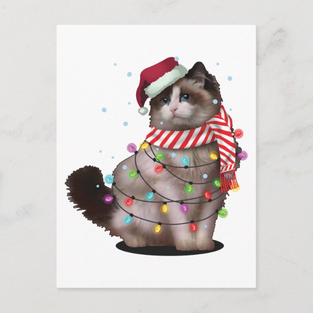 Postal Divertido regalo navideño de Navidad para un gato  (Anverso)
