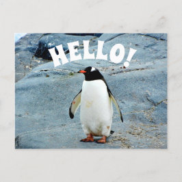 Postal Divertido saludo con Penguin Photo