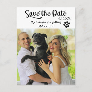 Postal Divertido Salven la fecha del Boda con perro