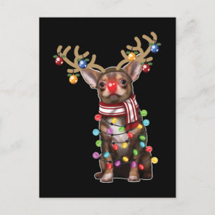 Postal Divertidos regalos de vacaciones de Navidades grac