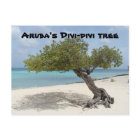 Postal divi-didi de Aruba
