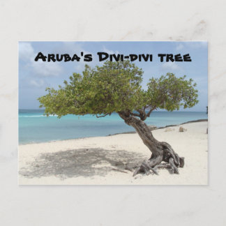 Postal divi-didi de Aruba