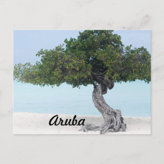 Postal Divi Divi Tree (Anverso)