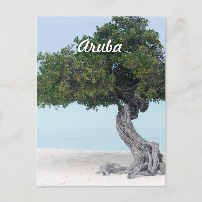 Postal Divi Divi Tree (Anverso)