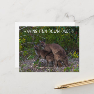 Postal Divirtiéndose bajo el canguro Australia