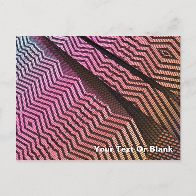 Postal Divisiones tribales (Anverso)