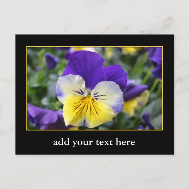 Postal DIY, crea el tuyo propio, agrega tu imagen o texto (Anverso)