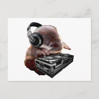Postal DJ None Otter