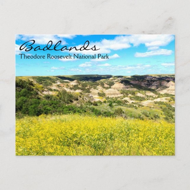Postal DNI Theodore Roosevelt Badlands (Anverso)