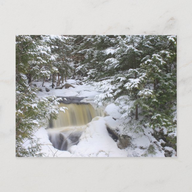 Postal Doanes Cae Nieve de Invierno (Anverso)
