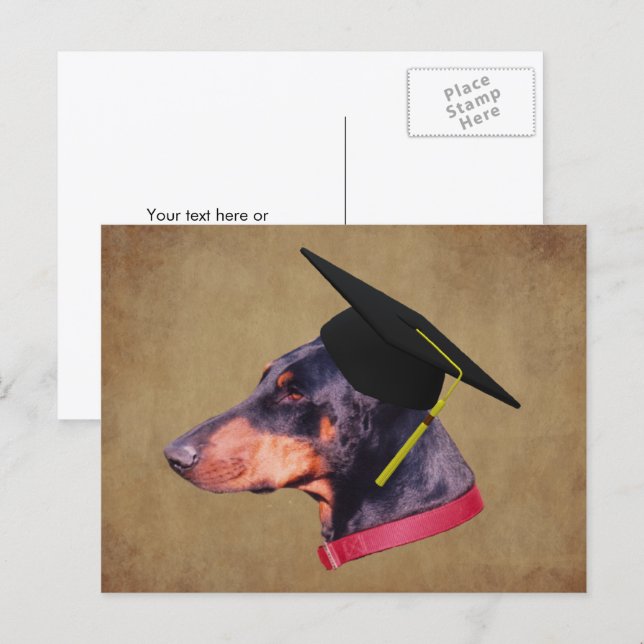 Postal Doberman con gorro de graduación Perro divertido P (Anverso / Reverso)