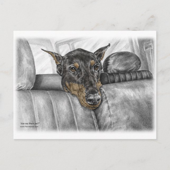 Postal Doberman en auto (Anverso)