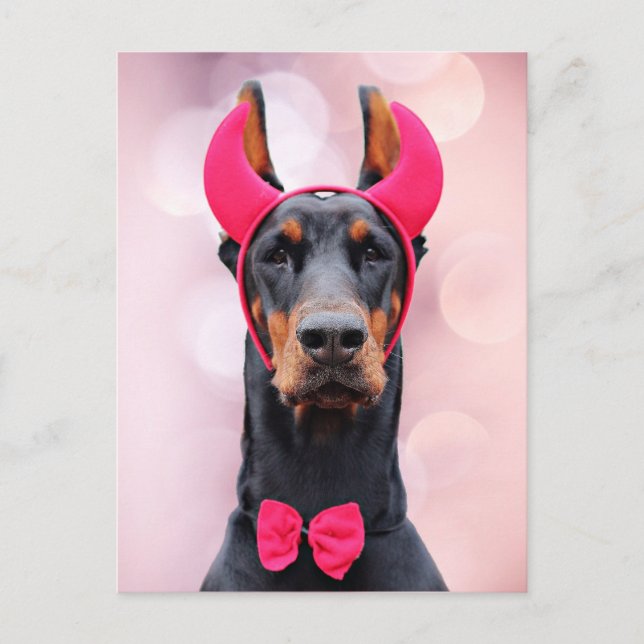 Postal Doberman en disfraz del diablo (Anverso)