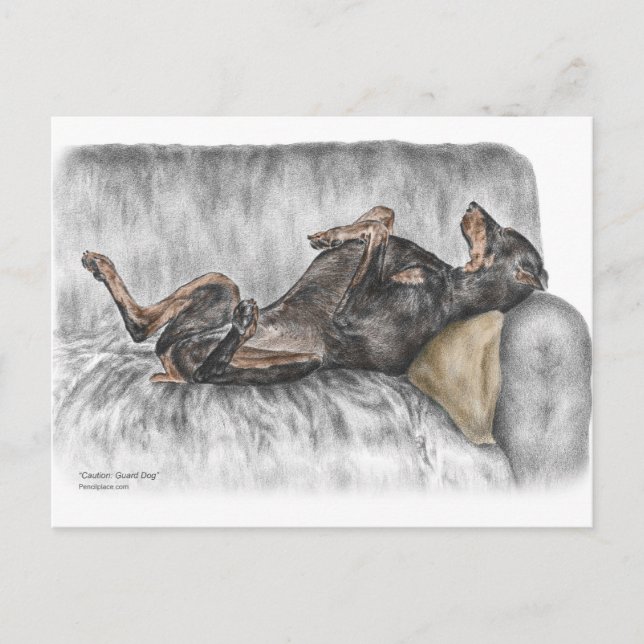 Postal Doberman gracioso en Sofa (Anverso)