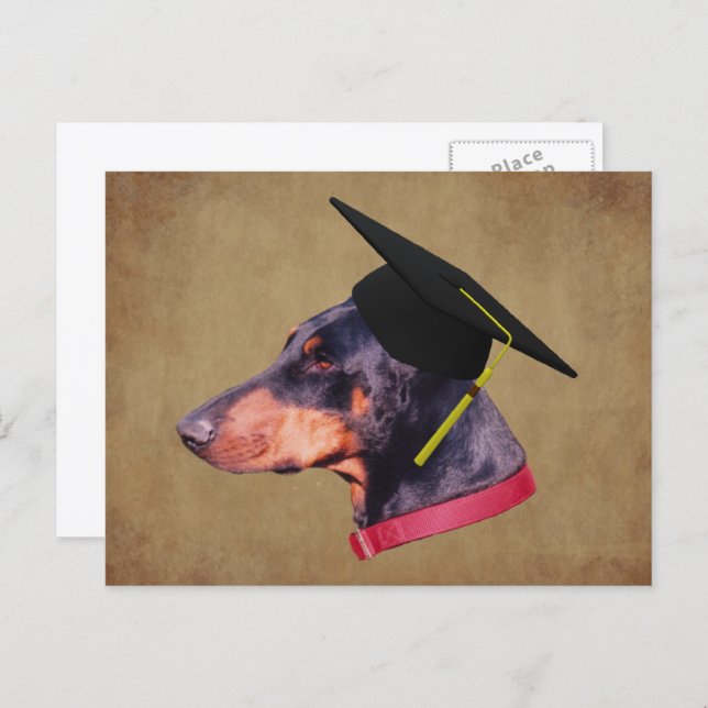 Postal Doberman In Graduation Cap Funny Dog Personalized (Anverso / Reverso)