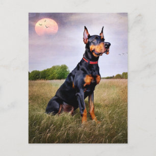 Postal Doberman Pinscher