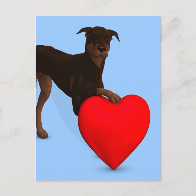 Postal Doberman Pinscher Con Corazón (Anverso)