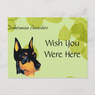 Postal Doberman Pinscher ~ Green Leaves Design