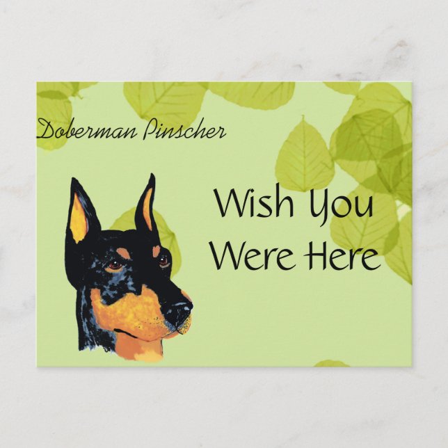 Postal Doberman Pinscher ~ Green Leaves Design (Anverso)