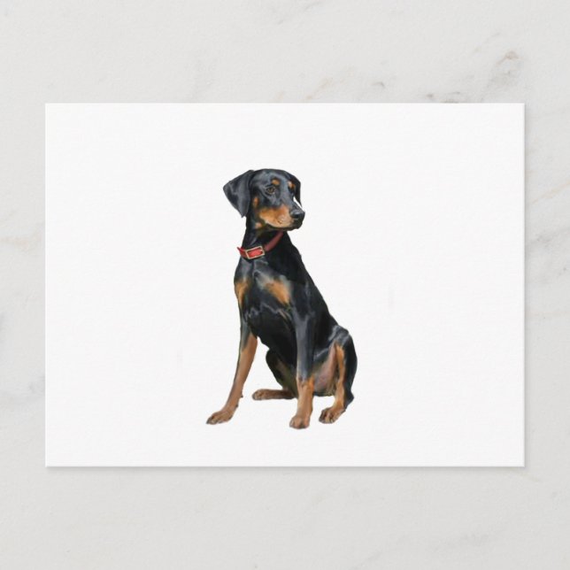 Postal Doberman Pinscher (natural) (Anverso)