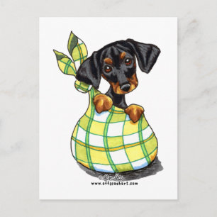 Postal Doberman Pinscher Sack Puppy