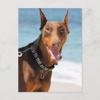 Postal Doberman - Rojo - Mal para el Hueso