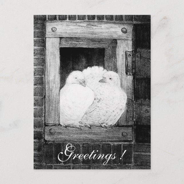 Postal DOBLAS BLANCAS EN LA VENTANA en blanco y negro (Anverso)