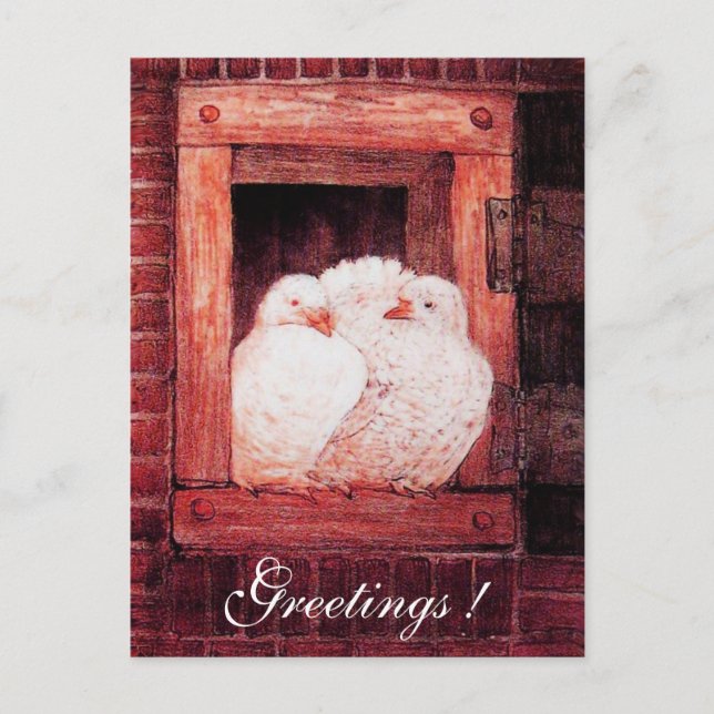 Postal DOBLAS BLANCAS EN LA VENTANA rosa rojo (Anverso)