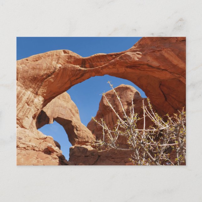 Postal Doble Arco en el Parque Nacional Arches (Anverso)