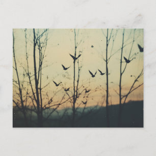 Postal Doble exposición de aves
