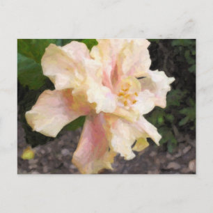 Postal doble hibiscus