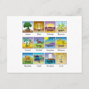 Postal Doce tribus de focas israelíes