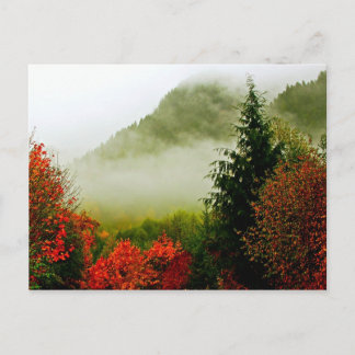 Postal Dodge Road Mist (brillante)