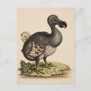 Postal Dodo