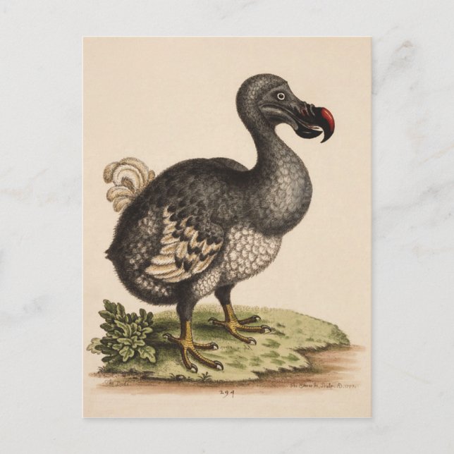 Postal Dodo (Anverso)