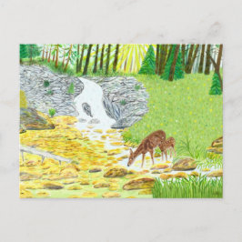 Postal Doe and Fawn